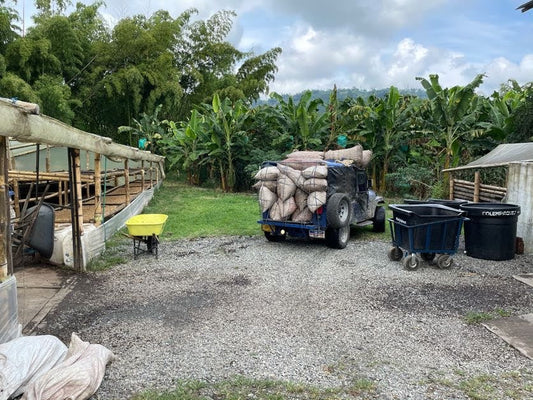 What Makes Specialty Coffee Special?